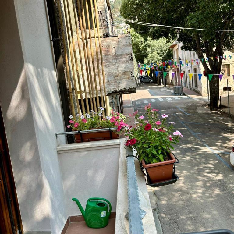 Casa Del Corso Hotel Доргали Екстериор снимка