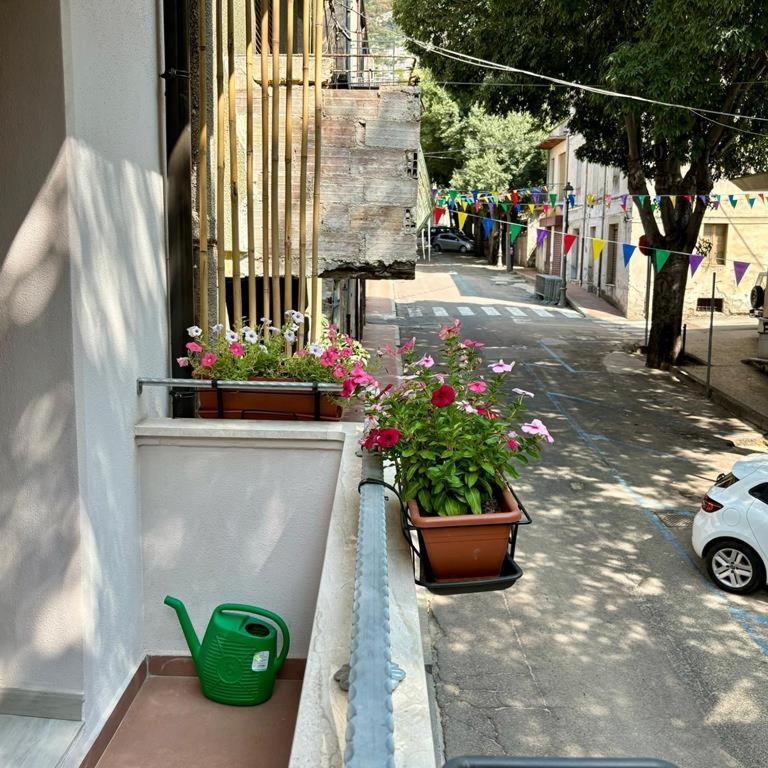 Casa Del Corso Hotel Доргали Екстериор снимка