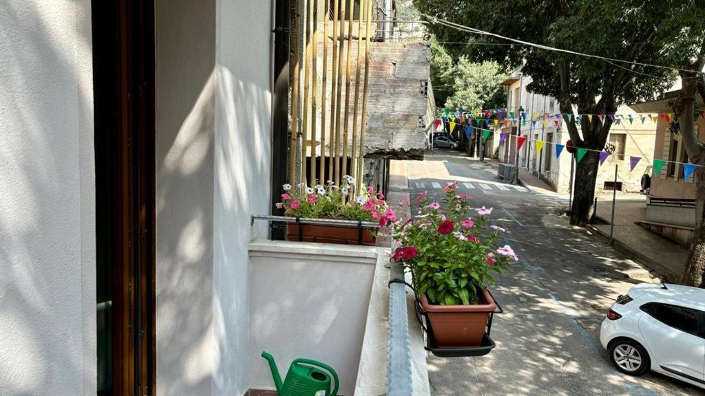 Casa Del Corso Hotel Доргали Екстериор снимка