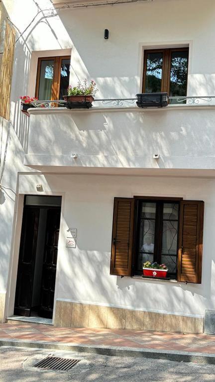 Casa Del Corso Hotel Доргали Екстериор снимка